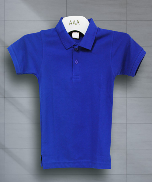 Kids Tshirts Royal Bluee 2 4 Years